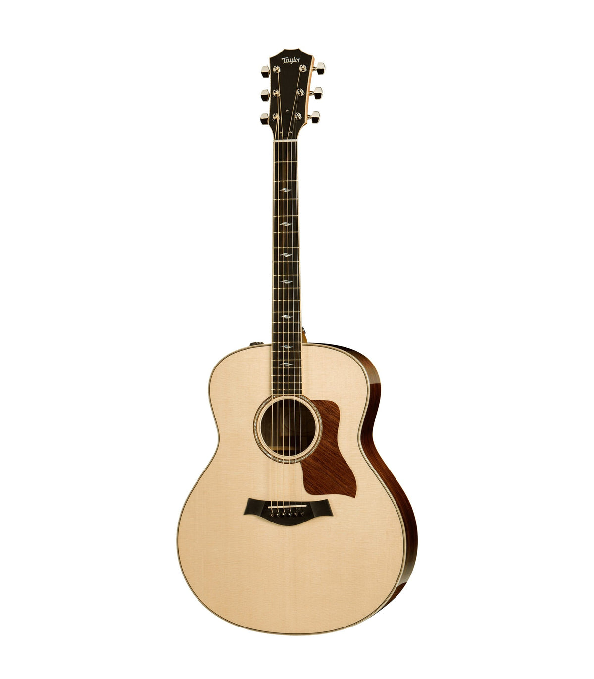Taylor-818e-scaled.jpg