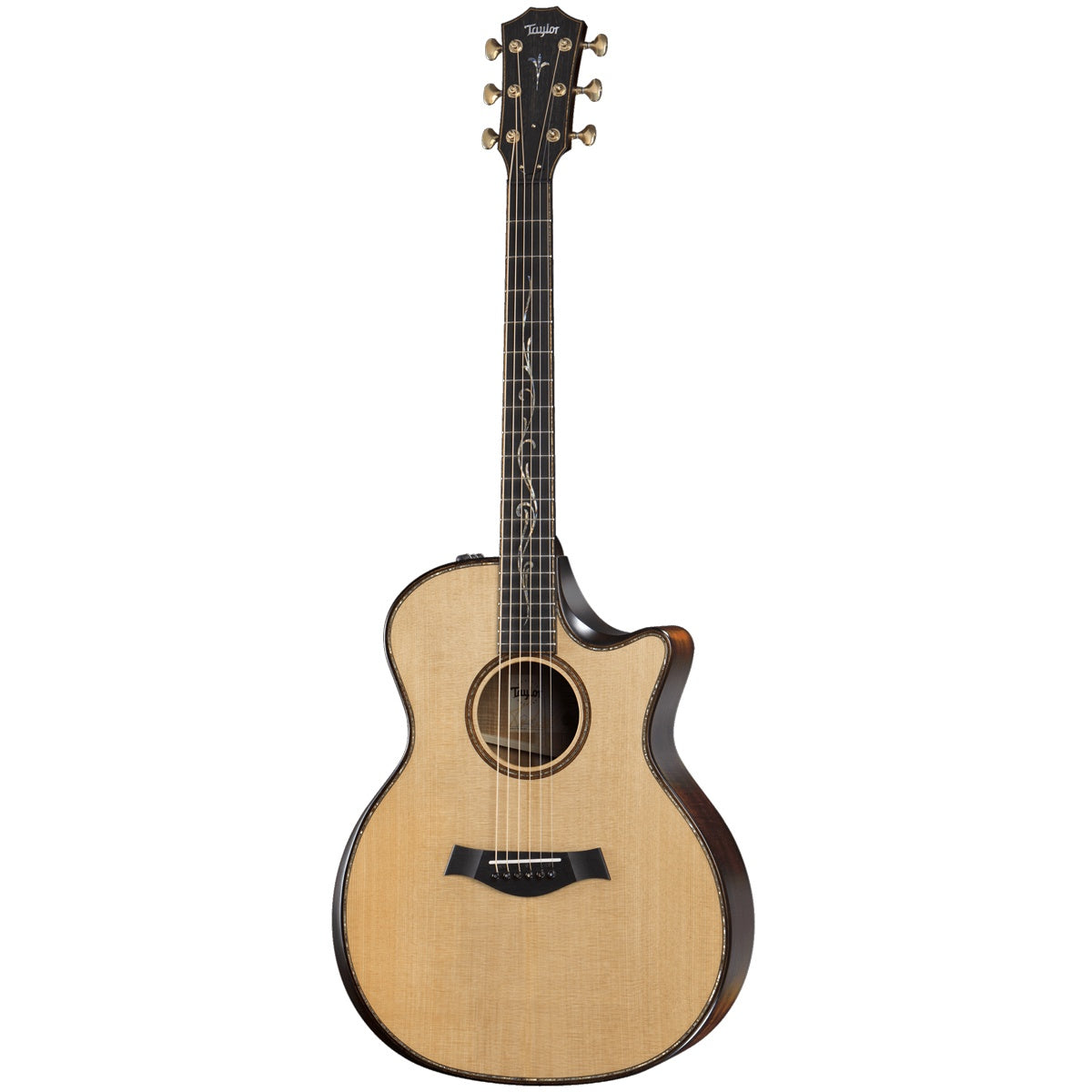 Taylor Builder's Edition K14ce with V-Class Bracing