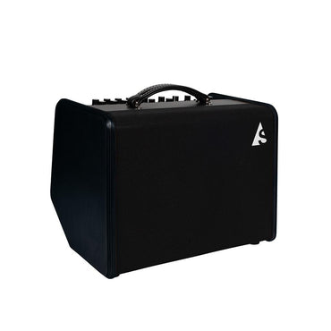 Godin Acoustic Solutions ASG-8 Black 120 Amp
