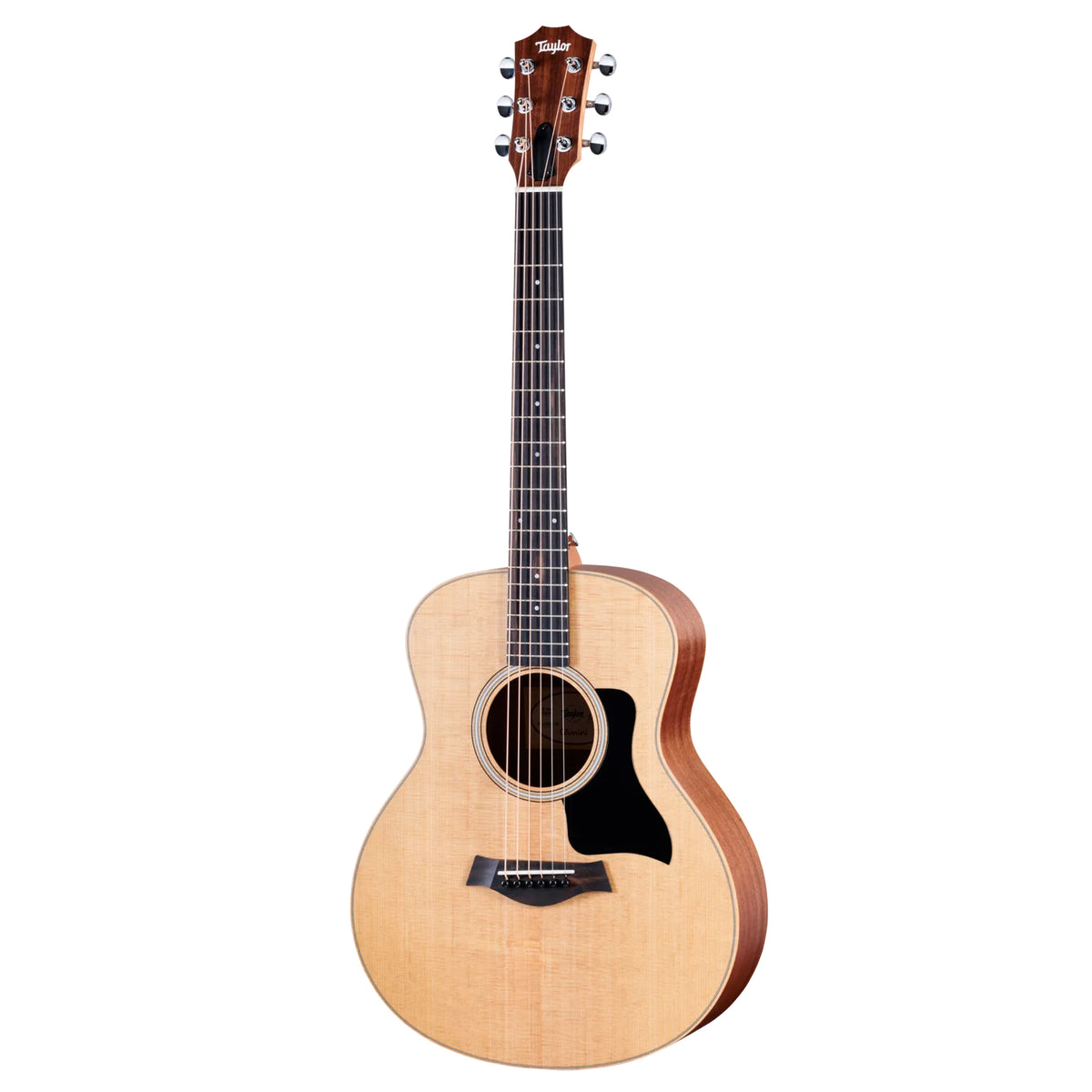 TAYLOR GS Mini Sapele