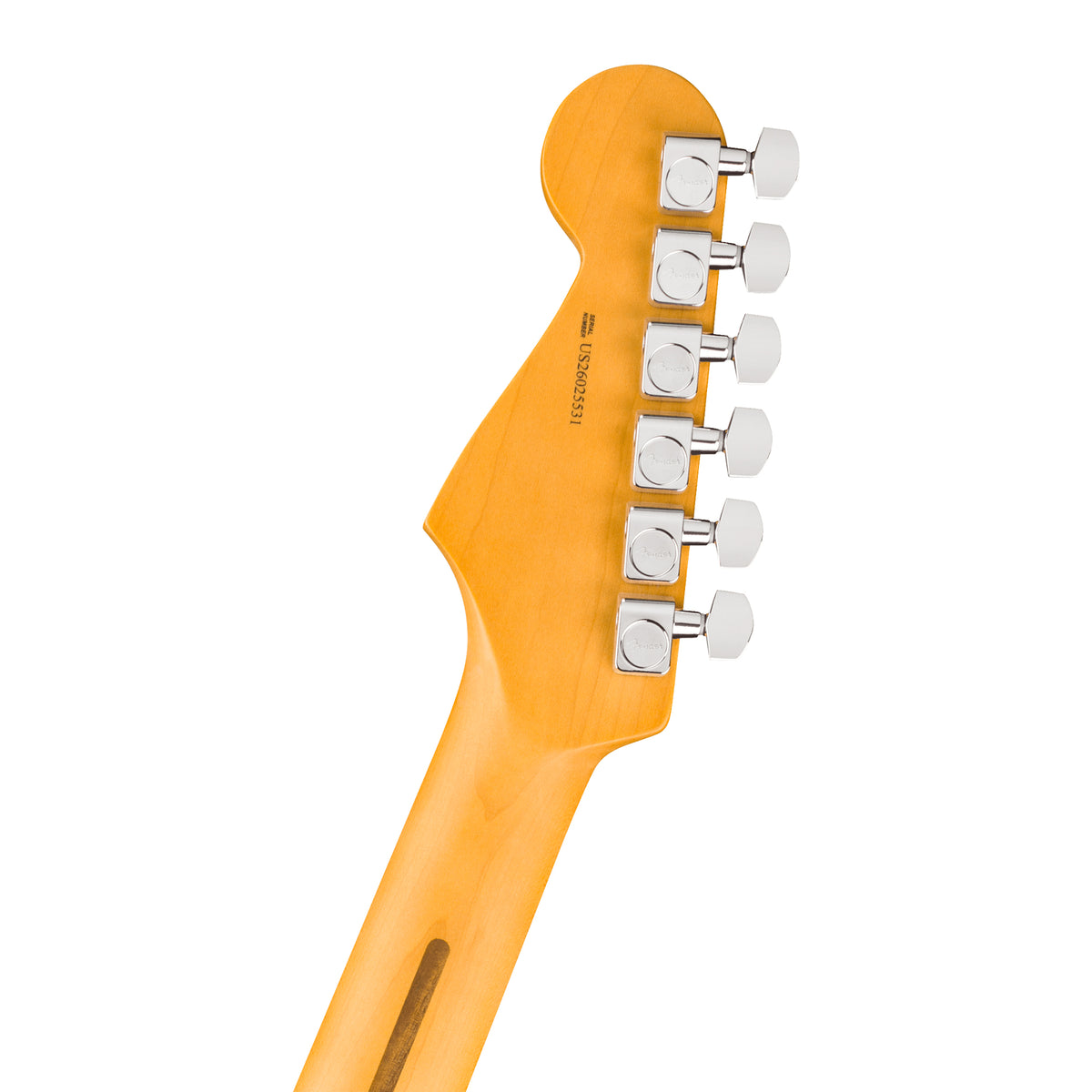 FENDER American Professional Stratocaster® - Touche en érable - Dark Night