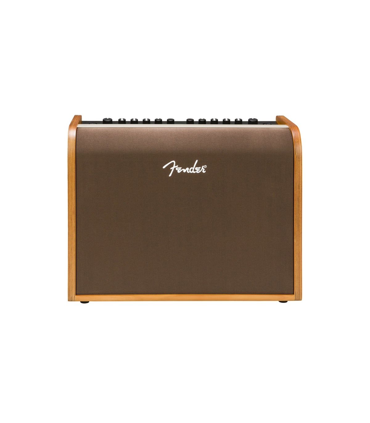 Fender Acoustic 100