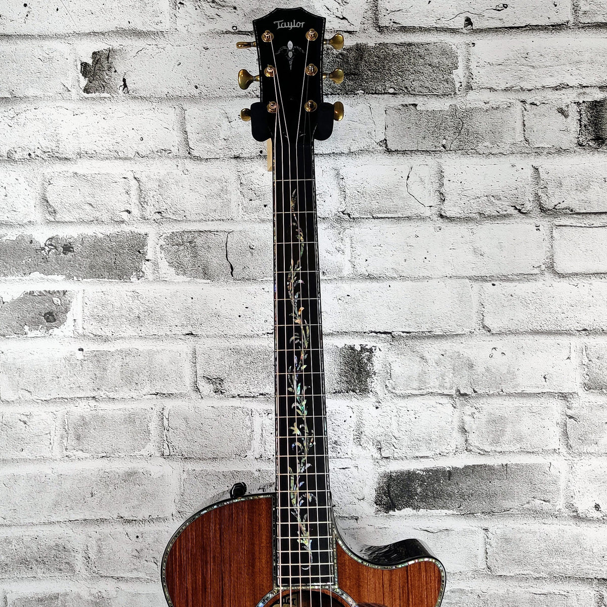Taylor Guitars PS14ce Honduran Rosewood