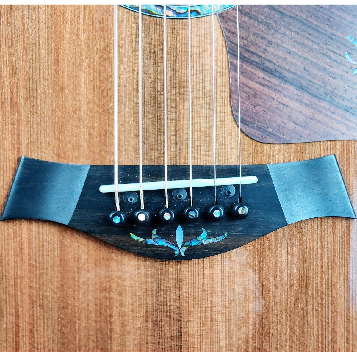 Taylor Guitars PS14ce Honduran Rosewood