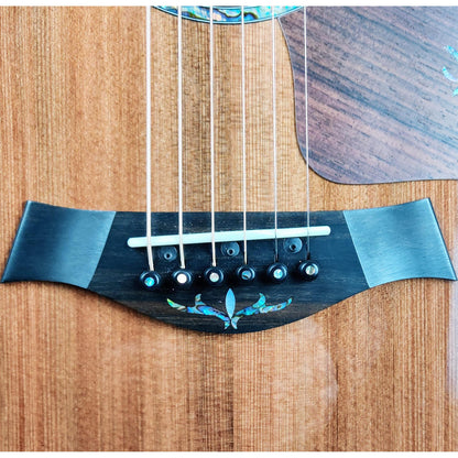 Taylor Guitars PS14ce Honduran Rosewood