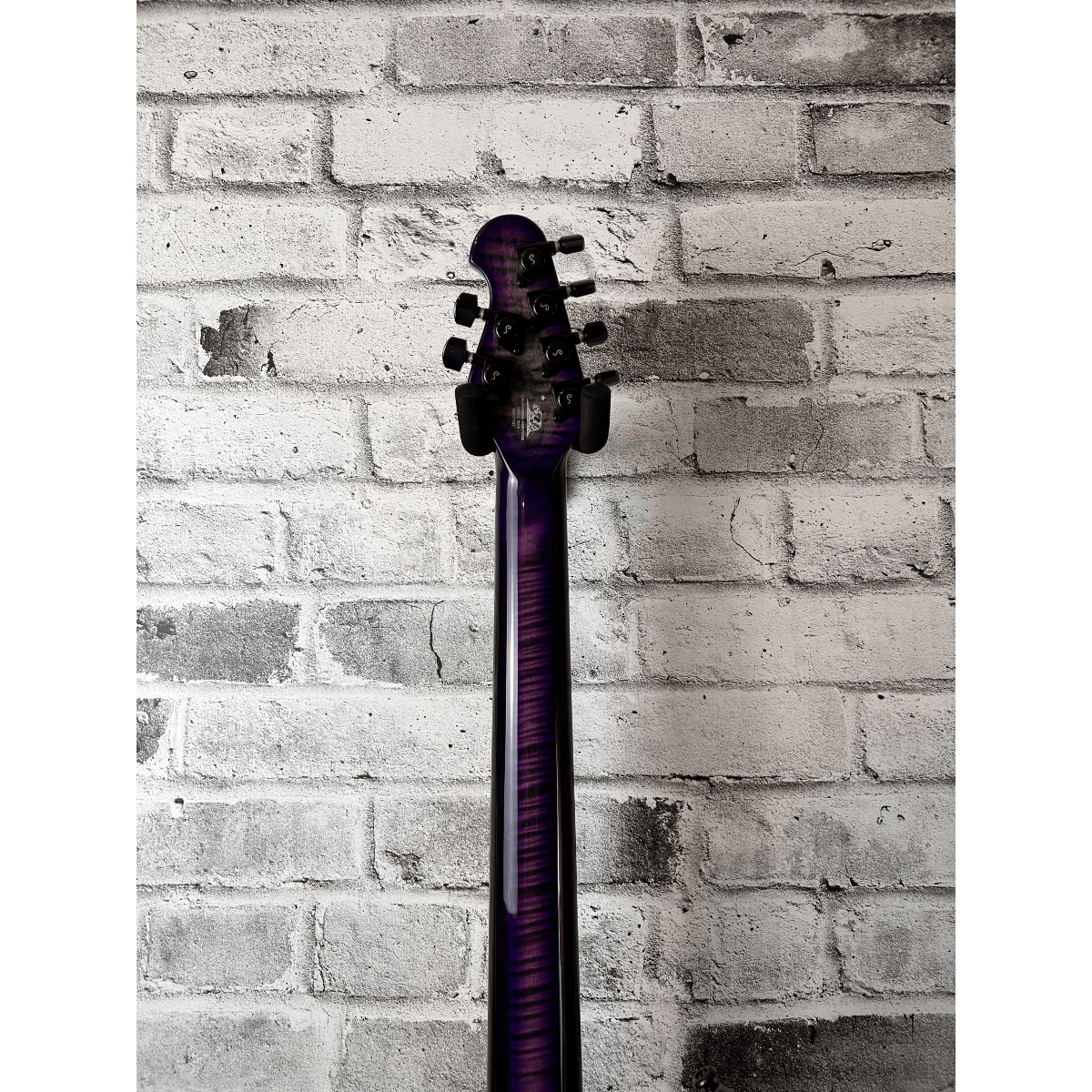 Ernie Ball Music Man, signé à la main Majesty Maple Top 6 cordes