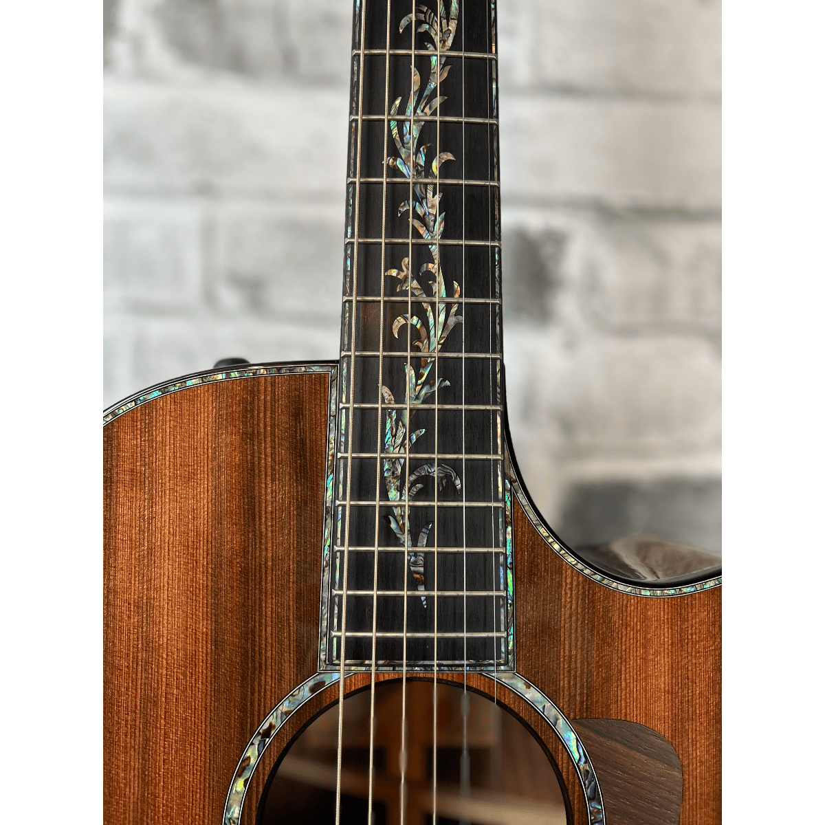 Taylor Guitars PS12ce 12-Fret Honduran Rosewood, Acoustic/Electric Guitar