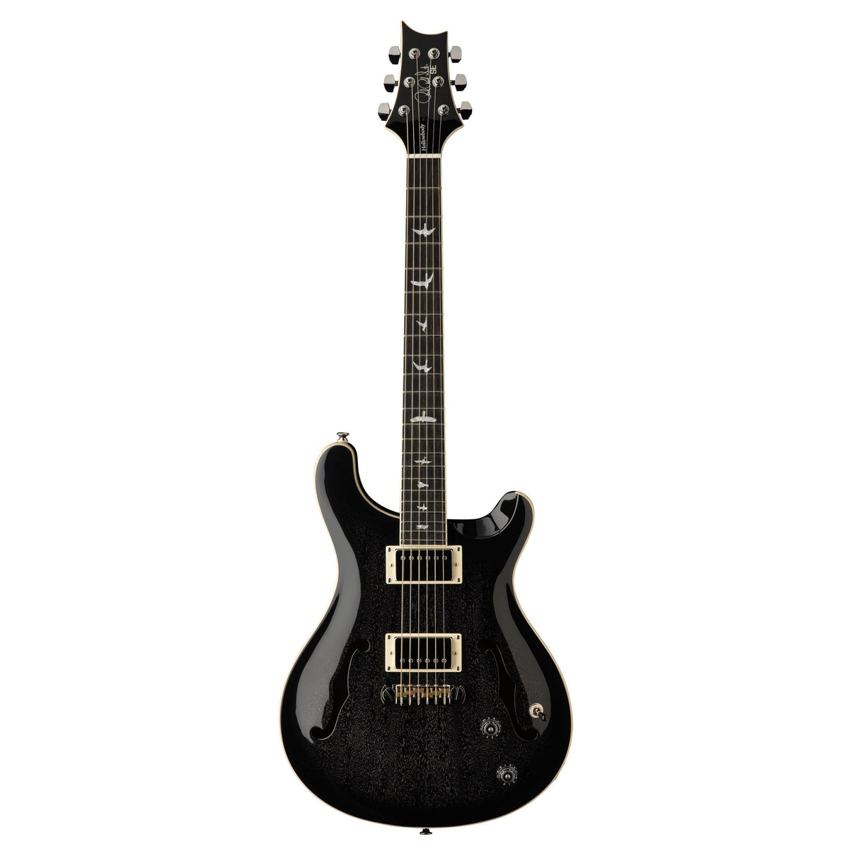 PRS SE Hollowbody Standard, Dog Hair Smokeburst