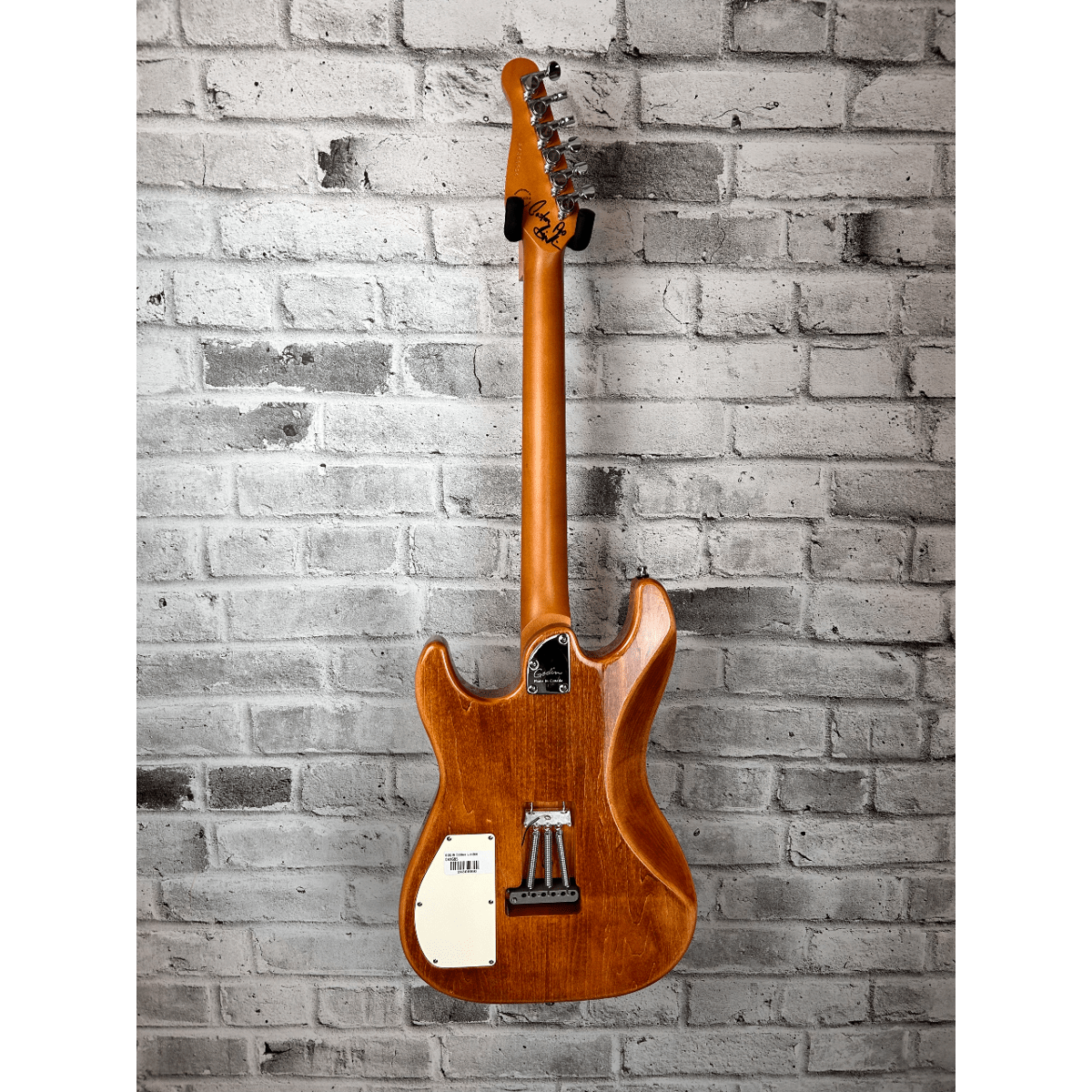 Godin Session T-Pro Prototype, Signed, Natural Electric Guitar
