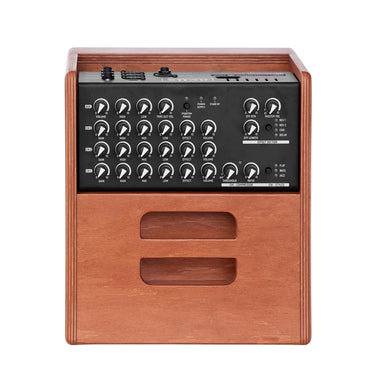 ACUS ONE FORSTRINGS 5 FERDI 70 Watt small band amplifier, Cherry Wood