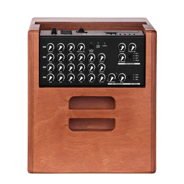 ACUS ONE FORSTRINGS 8 FERDI 140 Watt small band amplifier, Cherry Wood